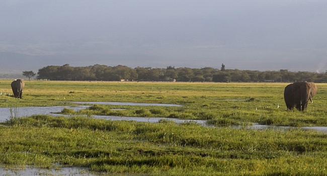 amboseli national park